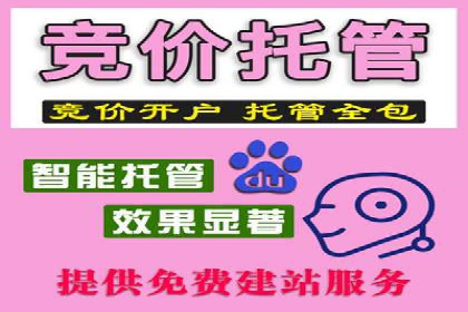 充值高返点：真实用户回馈案例分享